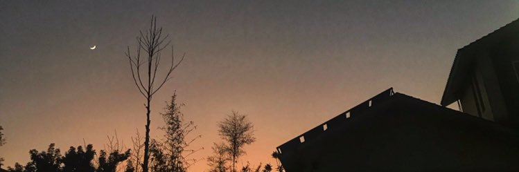 ayeshaziah's profile banner image