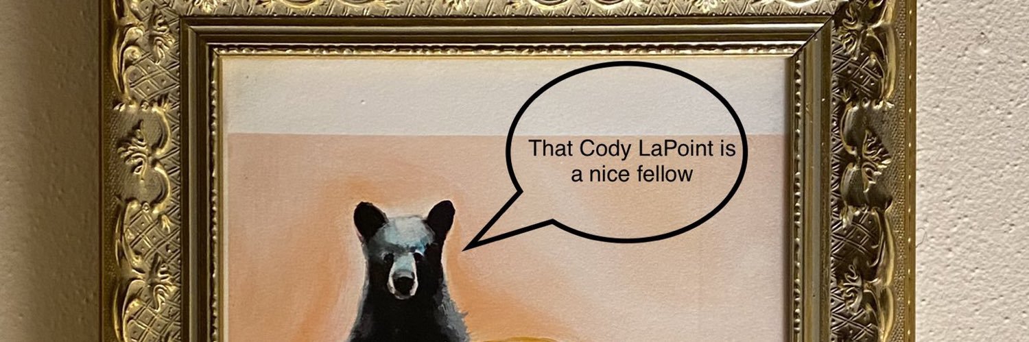 codylapoint's profile banner image
