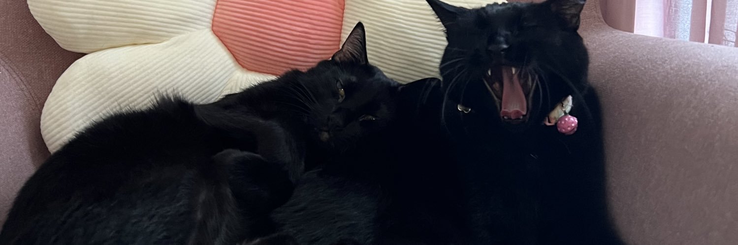 matticus52's profile banner image