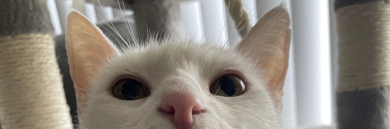 ayykarlaa's profile banner image