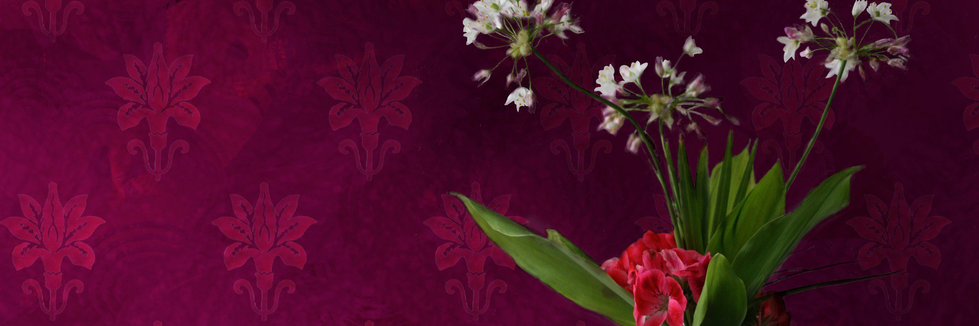 ShinookaA's profile banner image