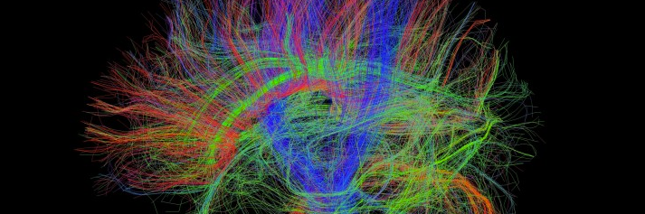 JuliaPostdocs's profile banner image