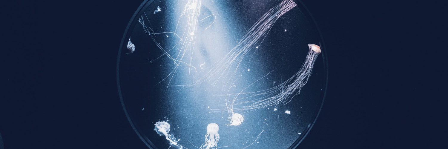 _ApolloXIII_'s profile banner image