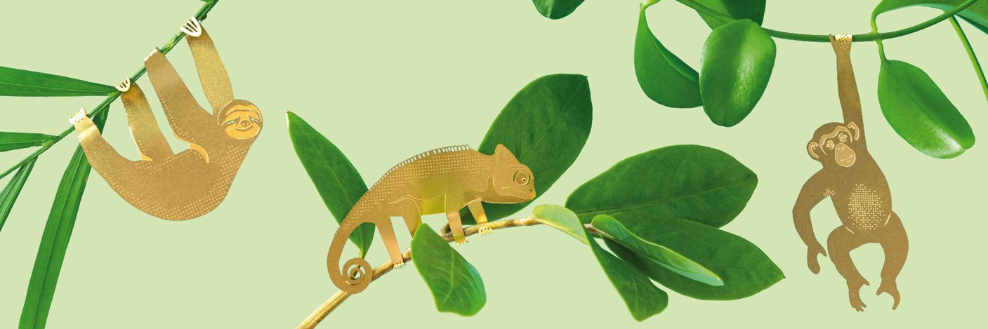 Another Studio banner