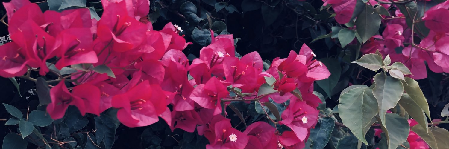 pattysiiaa's profile banner image
