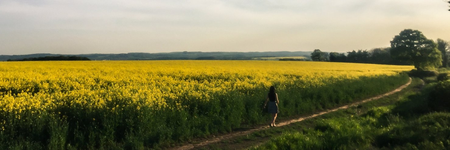 MrsReaderUK's profile banner image