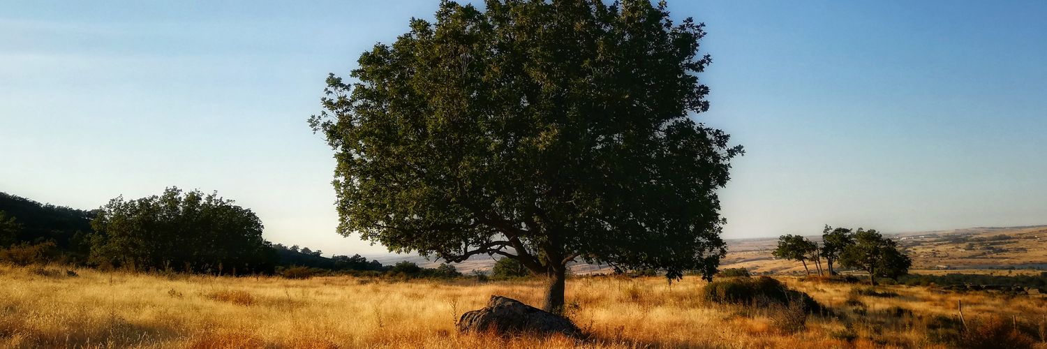 E_He16's profile banner image
