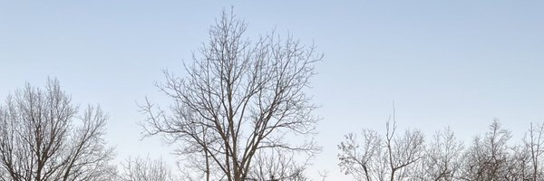 aashrith_k Profile Banner