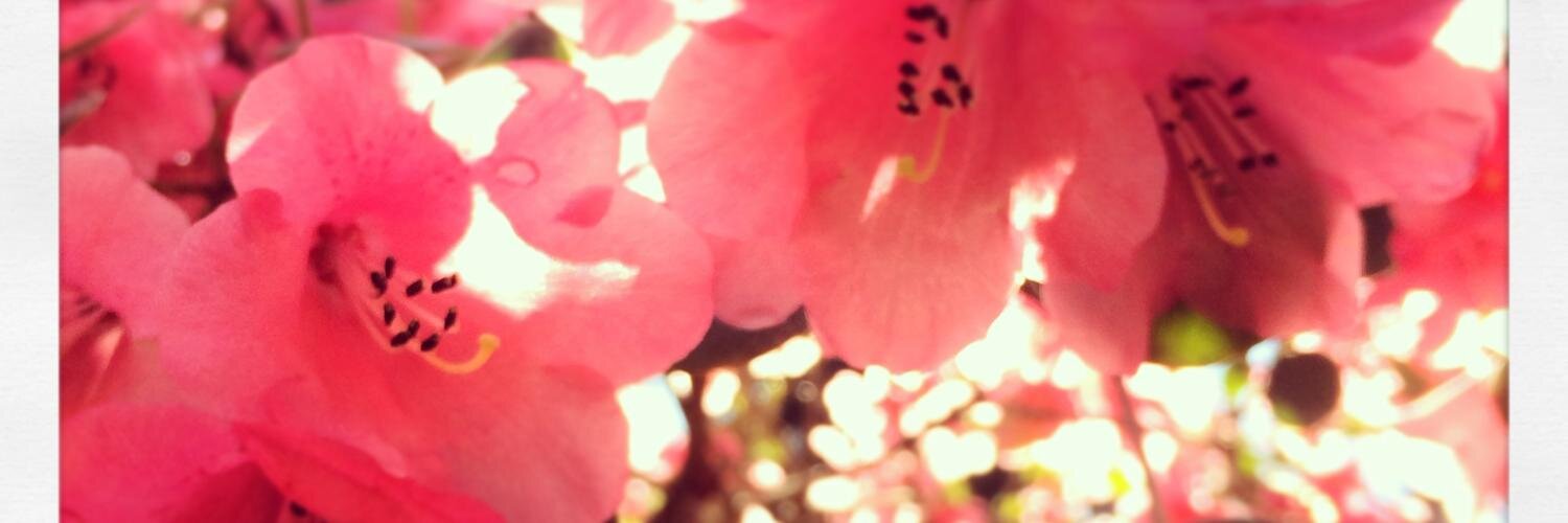jenrogersco's profile banner image