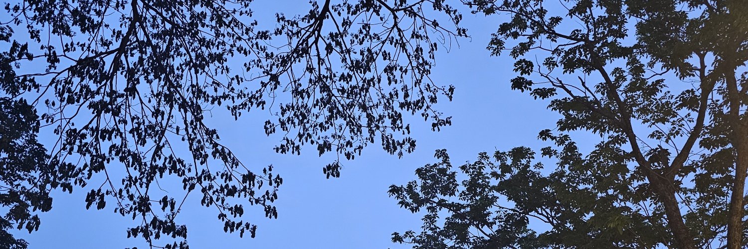 EEVLAP_0's profile banner image