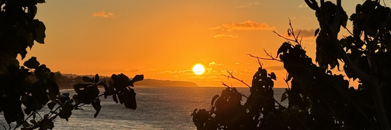 amnerisrealty's profile banner image