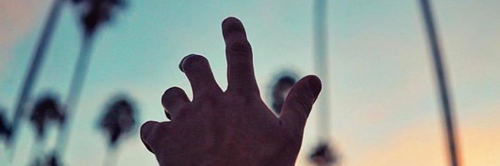 anacaro_t's profile banner image