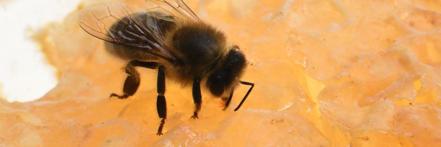 Charles-Olivier Oudin banner