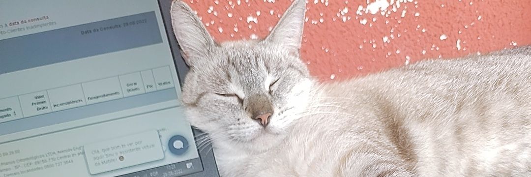 jam_vidas's profile banner image