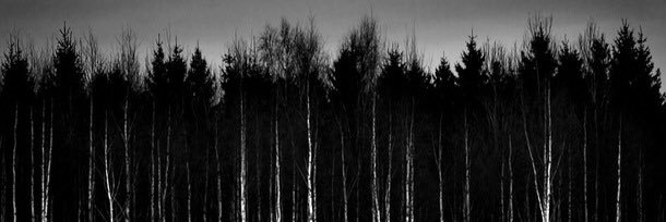 graythandoIan's profile banner image