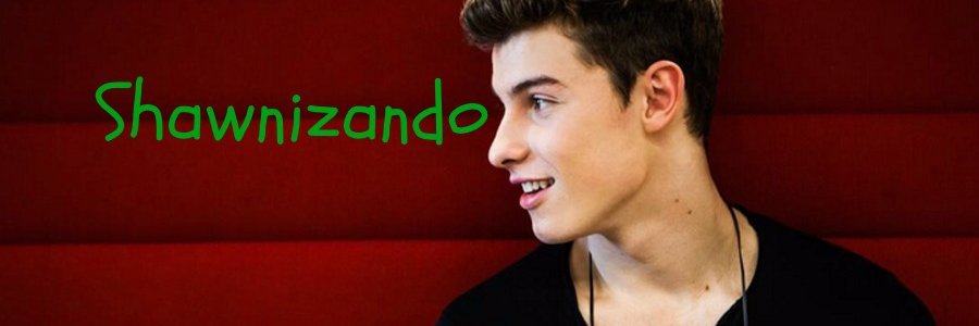 shawnizando1's profile banner image