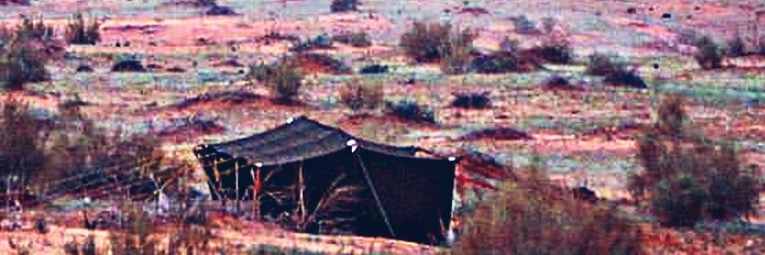 MshalHashim's profile banner image