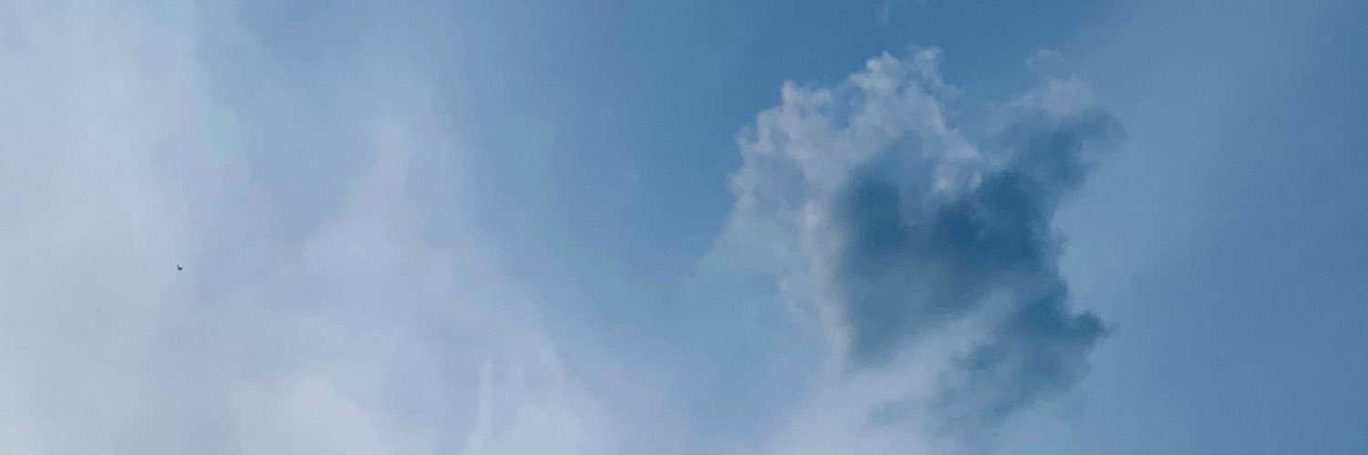 tallltrees's profile banner image