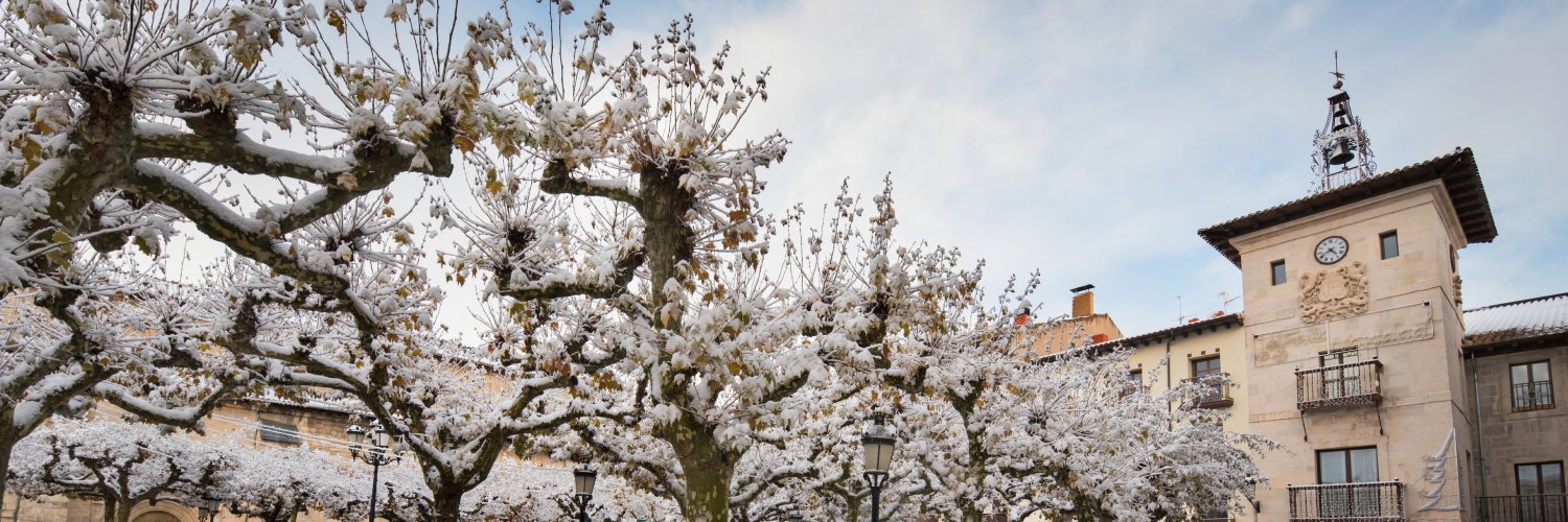 Spain in Belgium & Luxembourg banner