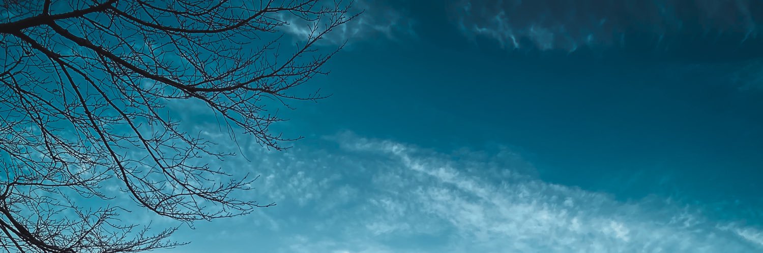 nanadia___'s profile banner image