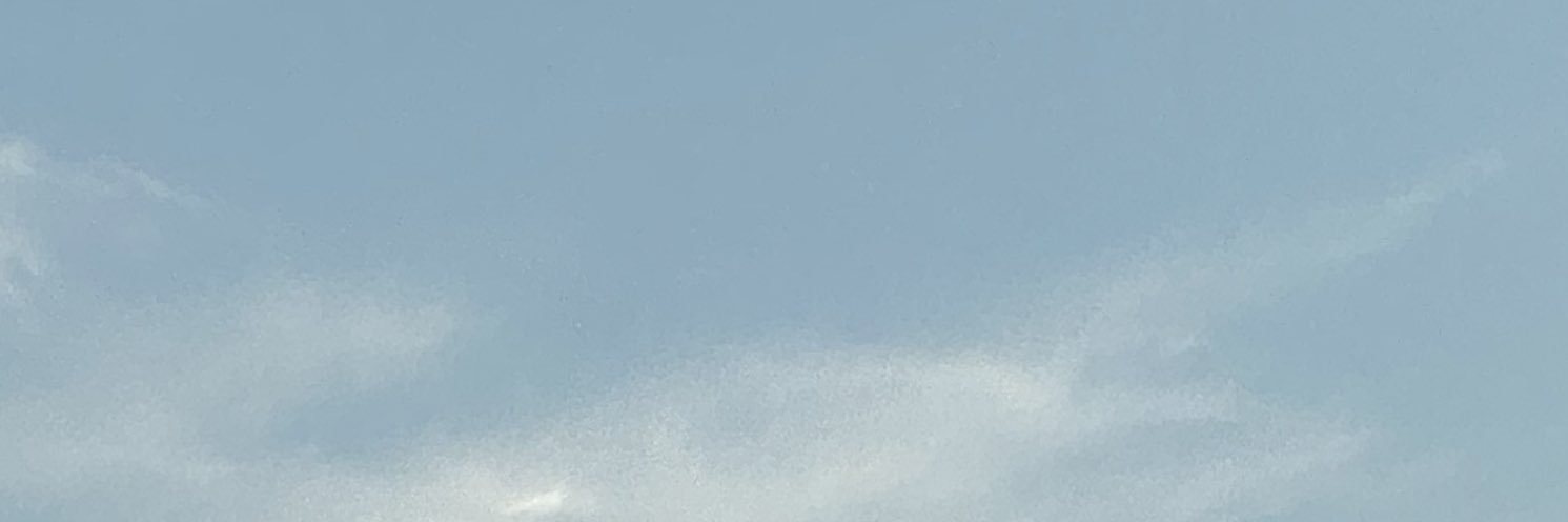 Emmanuelle Saudeau banner