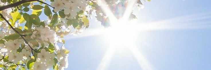 Bellarmelle's profile banner image