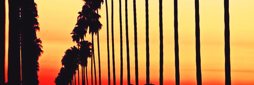 Shawn Hook banner