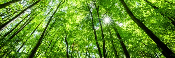 SecoToolsSEA Profile Banner