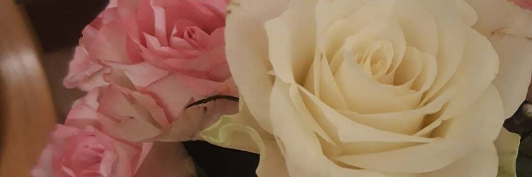 19Tink93's profile banner image