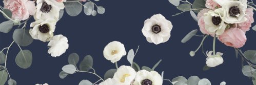 geytonpraber's profile banner image