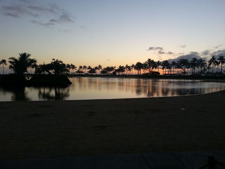 Colin Rotruck banner