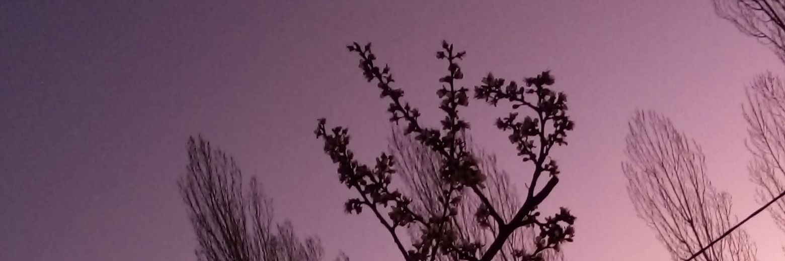 piti_87's profile banner image