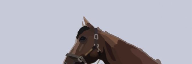 hadeelnmn's profile banner image