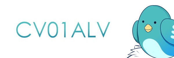 CV01ALV Profile Banner