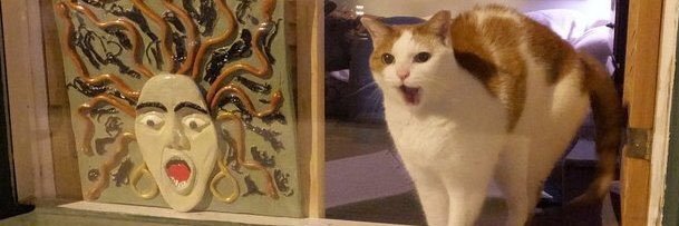 isabebelita 🙄 banner