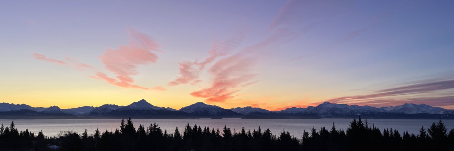 Nick Faulkner banner