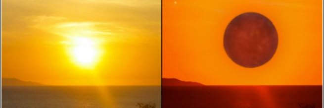 Commandante Pangolin Hugger banner