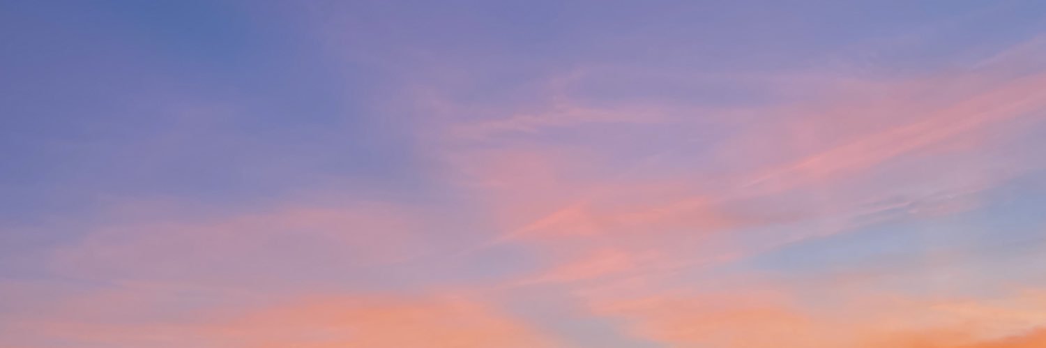 nikkorinu2's profile banner image