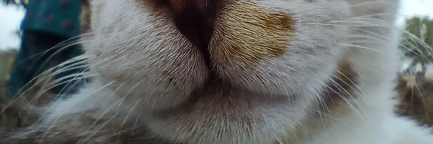 AwanaJitendra's profile banner image