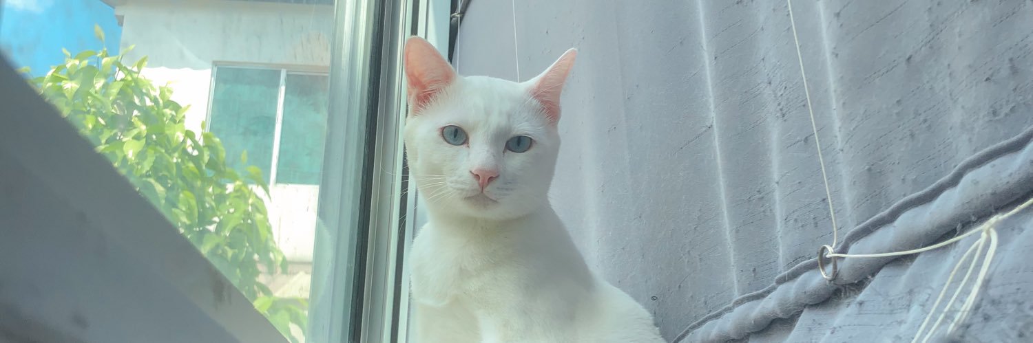 NatthaOrn_SS's profile banner image