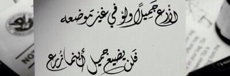 mfzamil's profile banner image