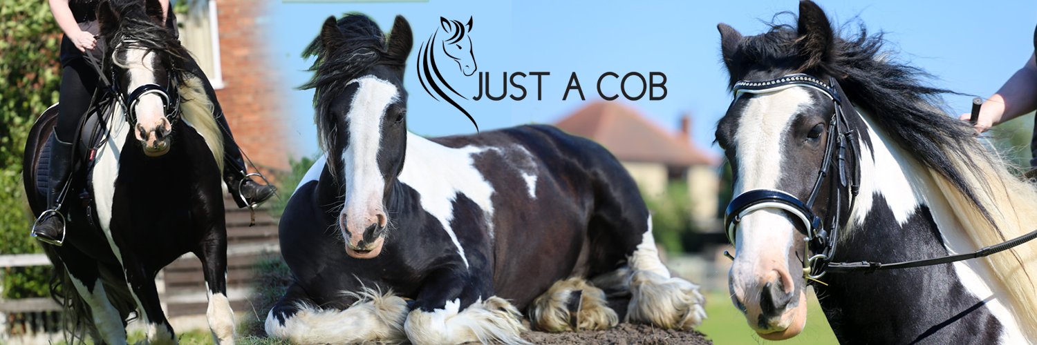 justacobuk's profile banner image