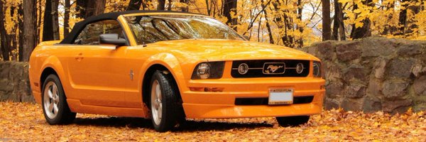 Clesen_SW Profile Banner