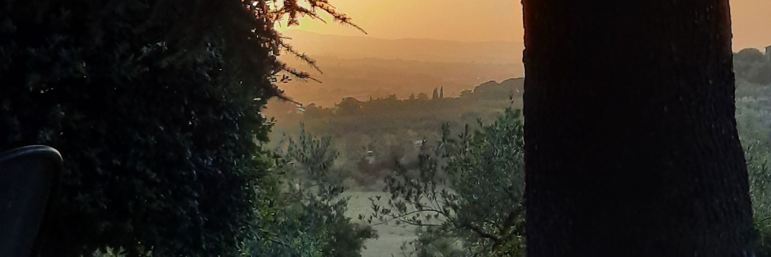 CorinavdWeiden's profile banner image