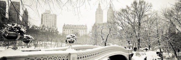 lovisamorinder's profile banner image