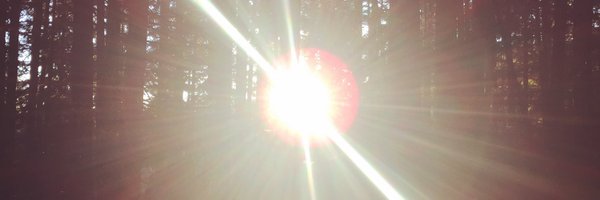 dbeckingham Profile Banner