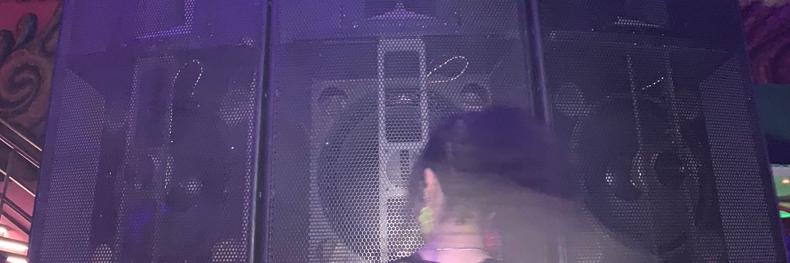deskiziada banner
