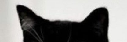 __TO_A011's profile banner image