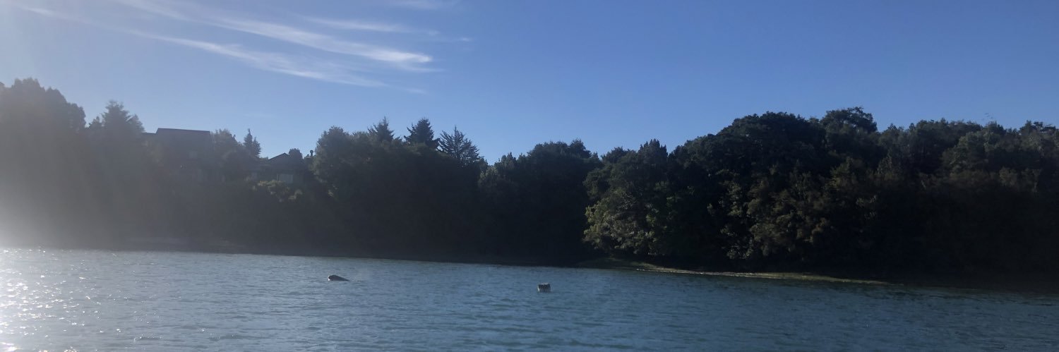 Cotsi's profile banner image