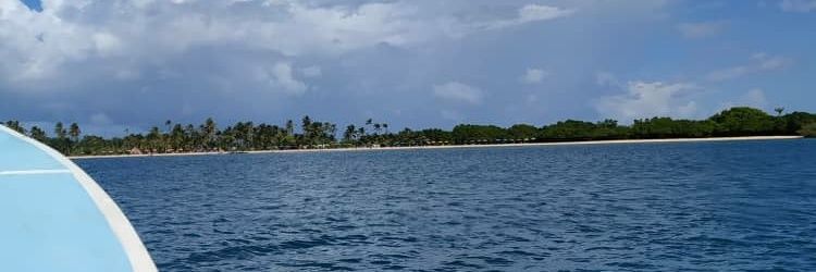 briweedto's profile banner image